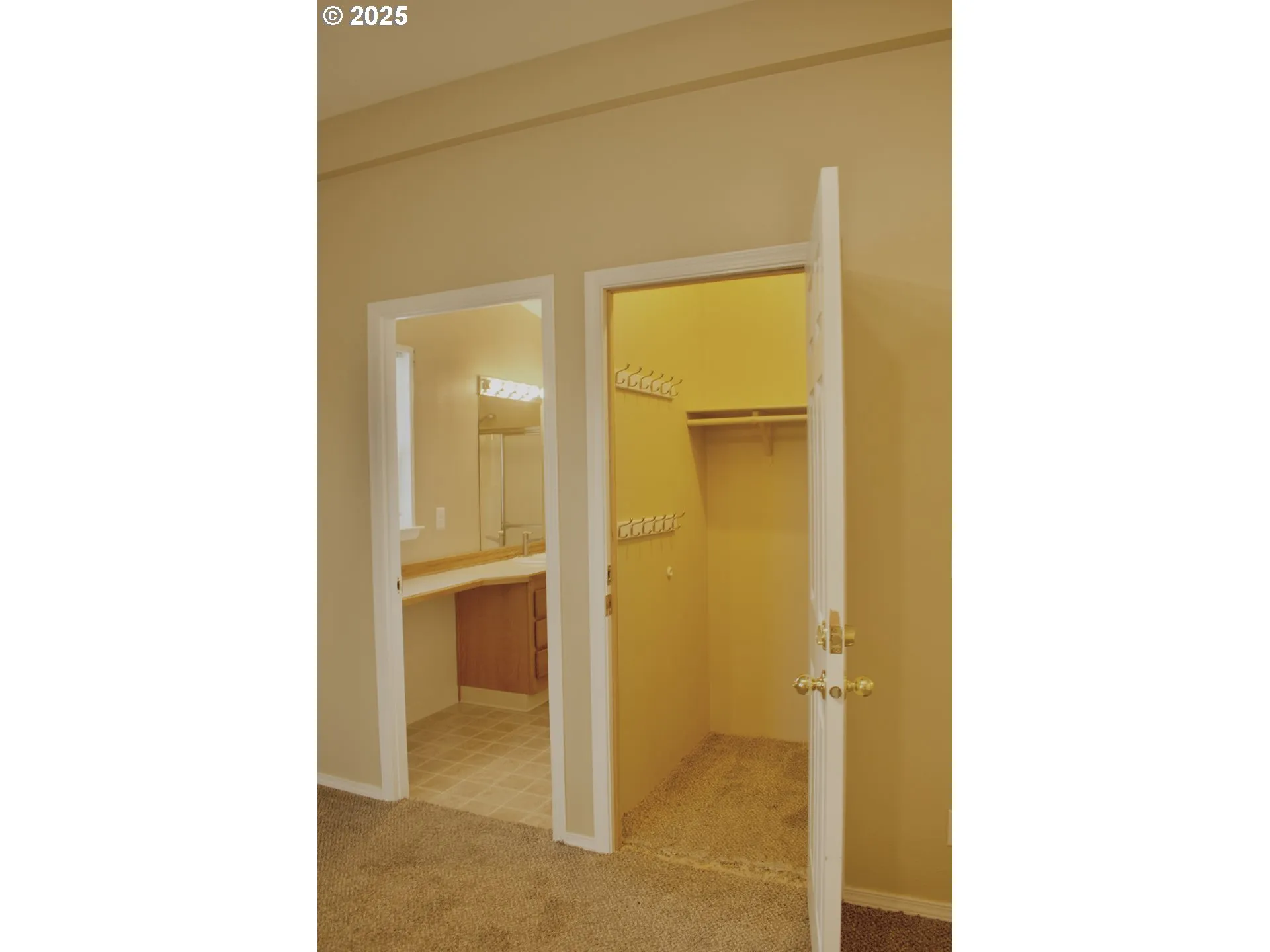 Primary Bedroom-Walk-In Closet