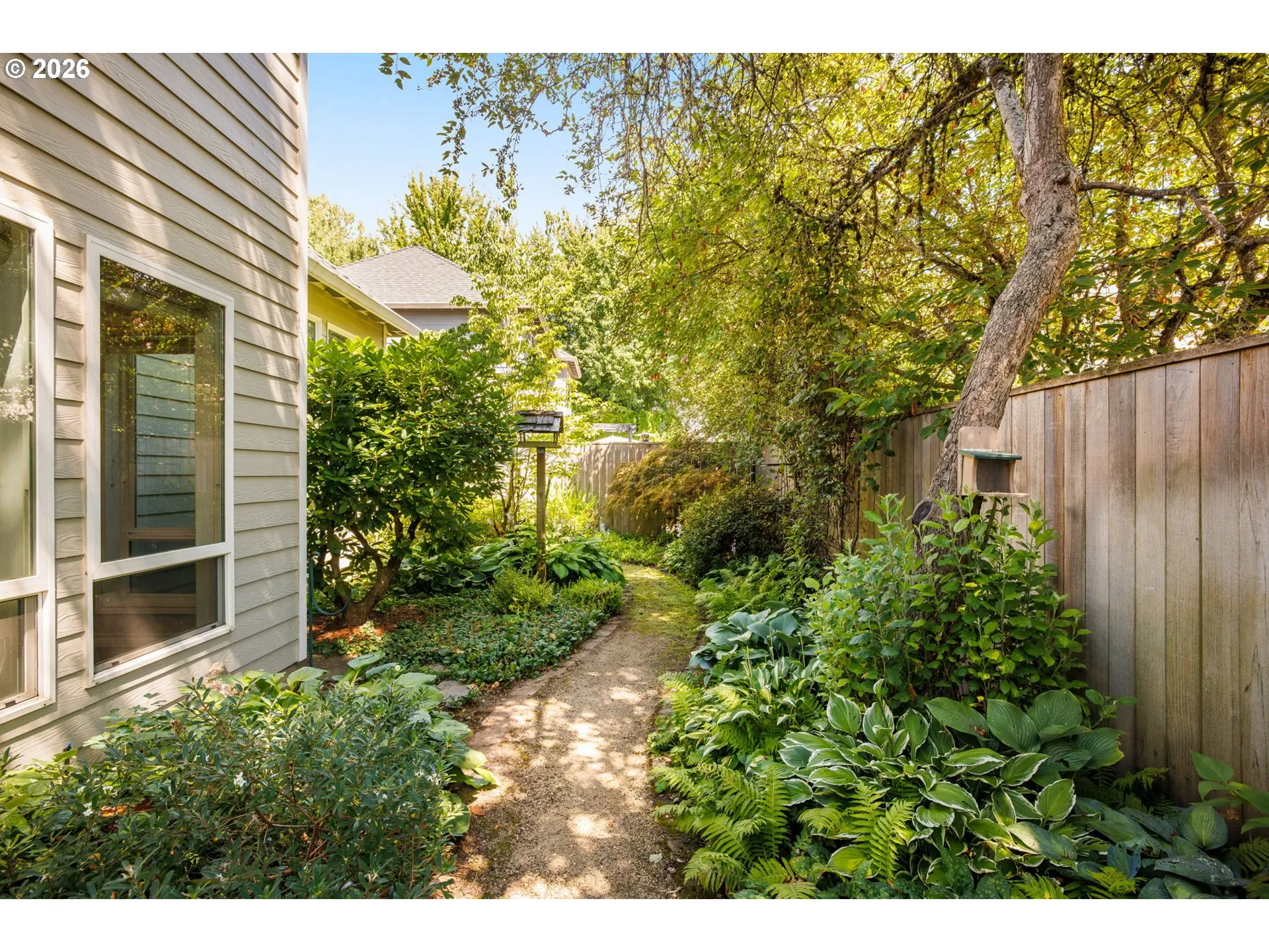 Backyard-Fenced