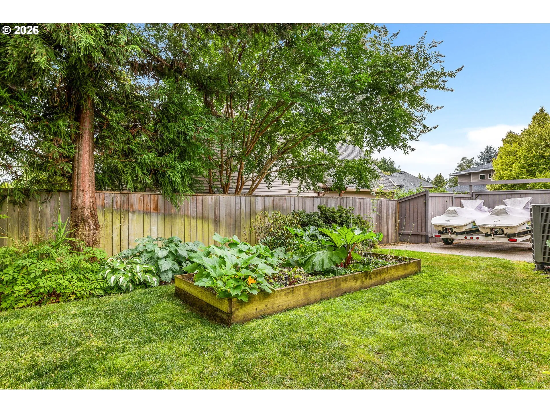 Backyard-Fenced