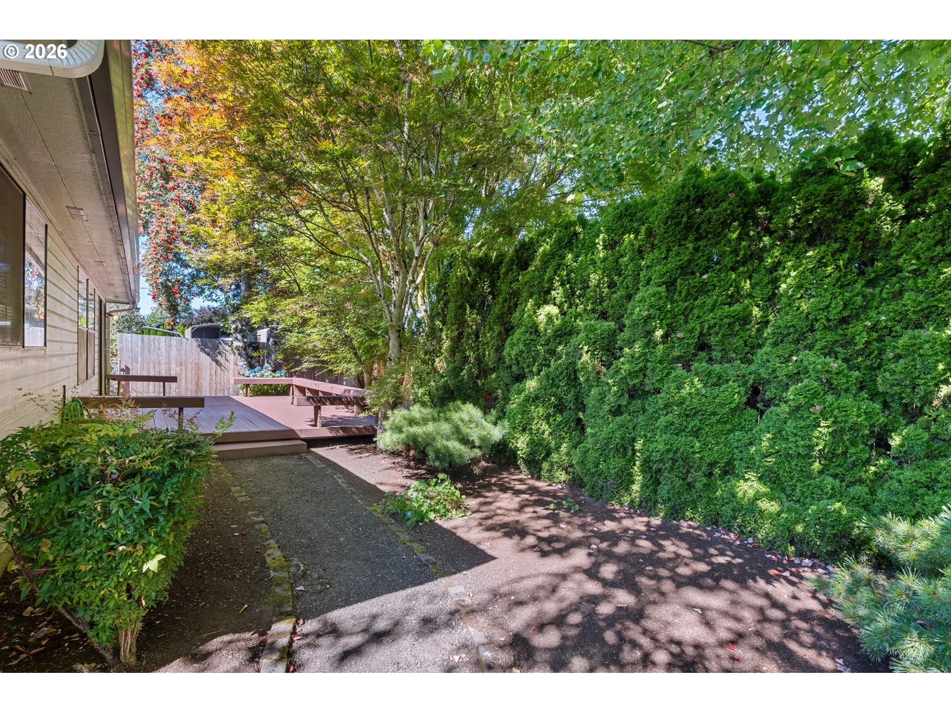 Backyard