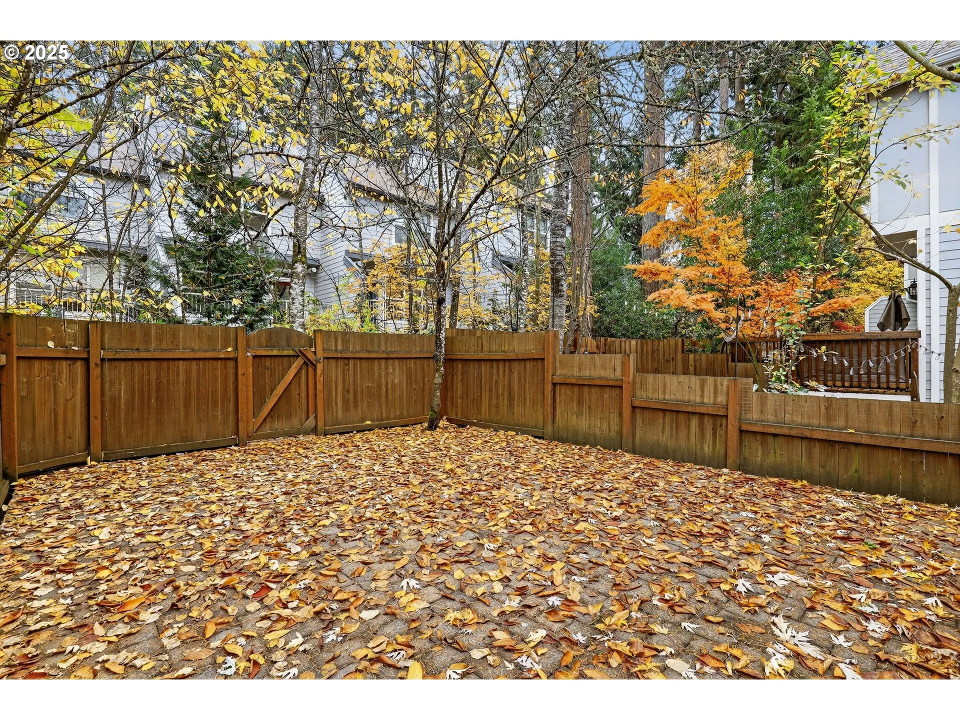 Backyard-Fenced