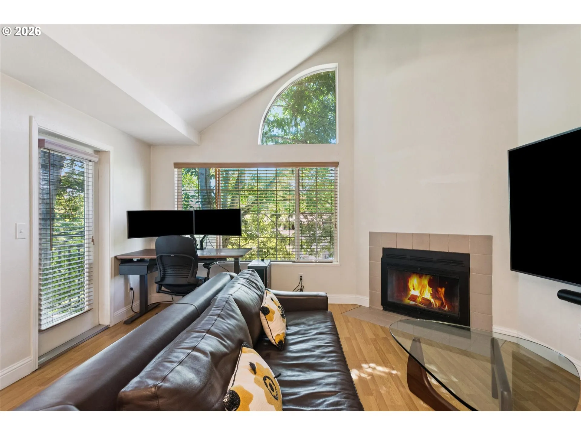 Living Room-Vaulted Ceilings