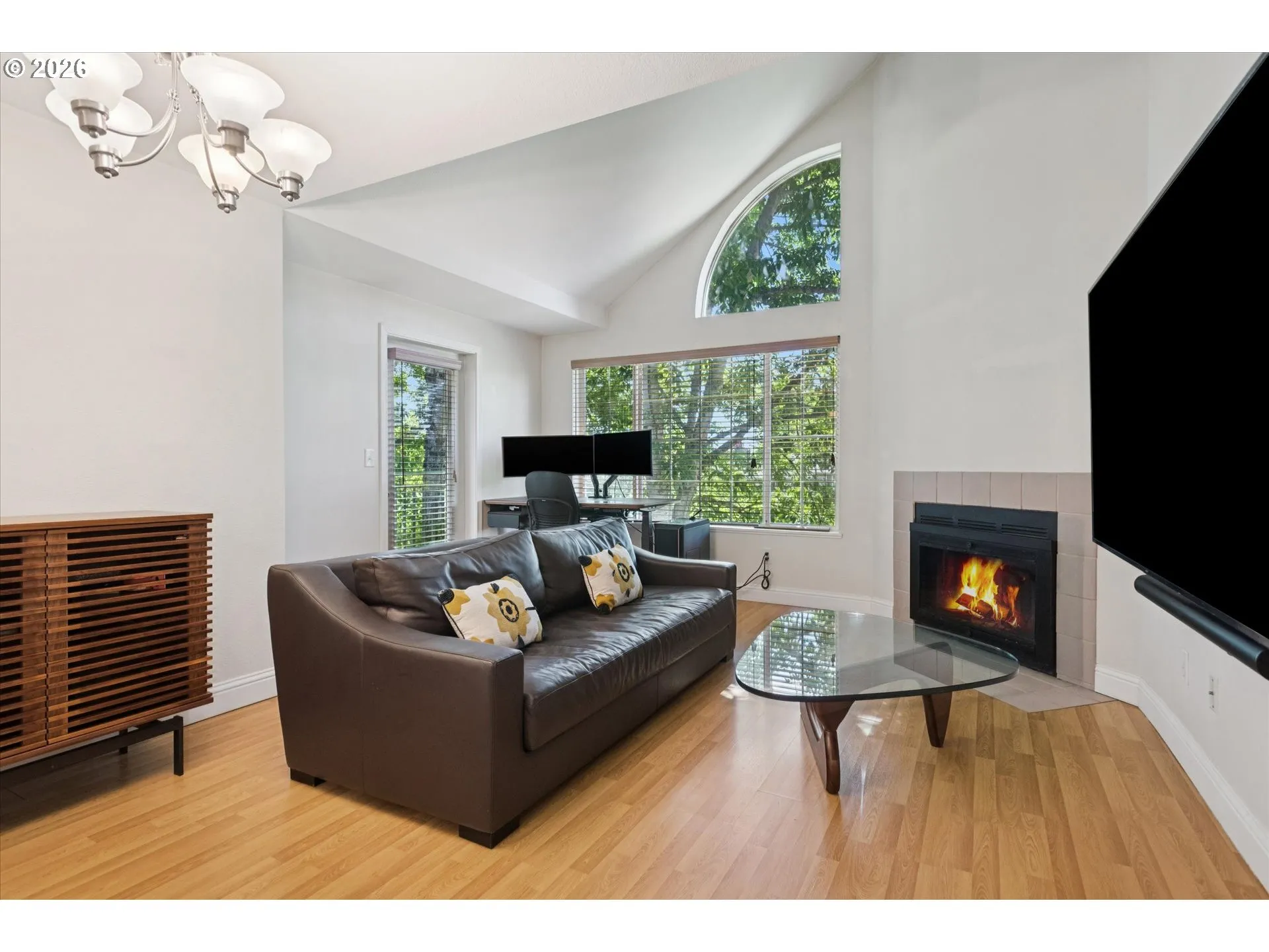 Living Room-Vaulted Ceilings