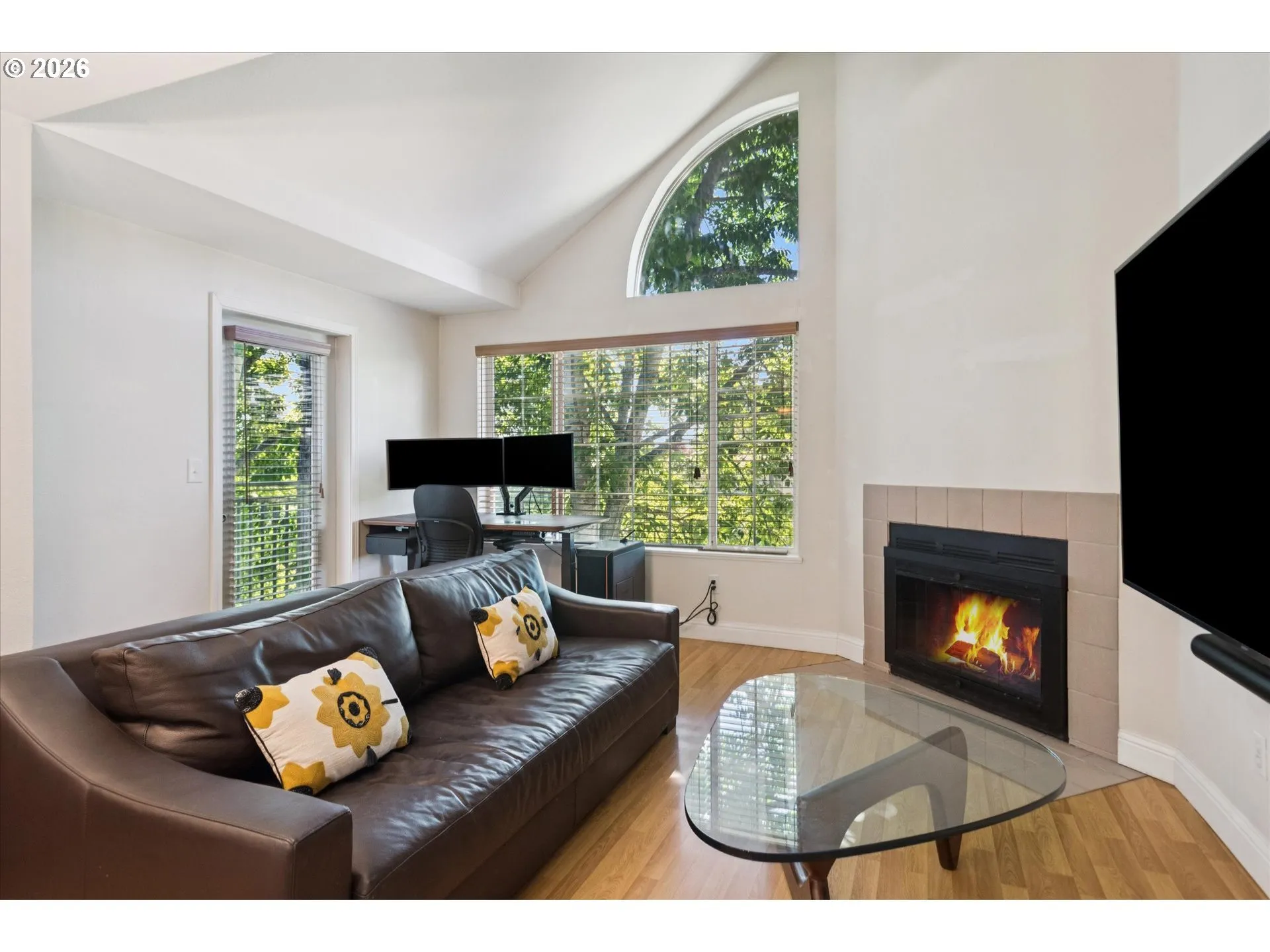 Living Room-Fireplace