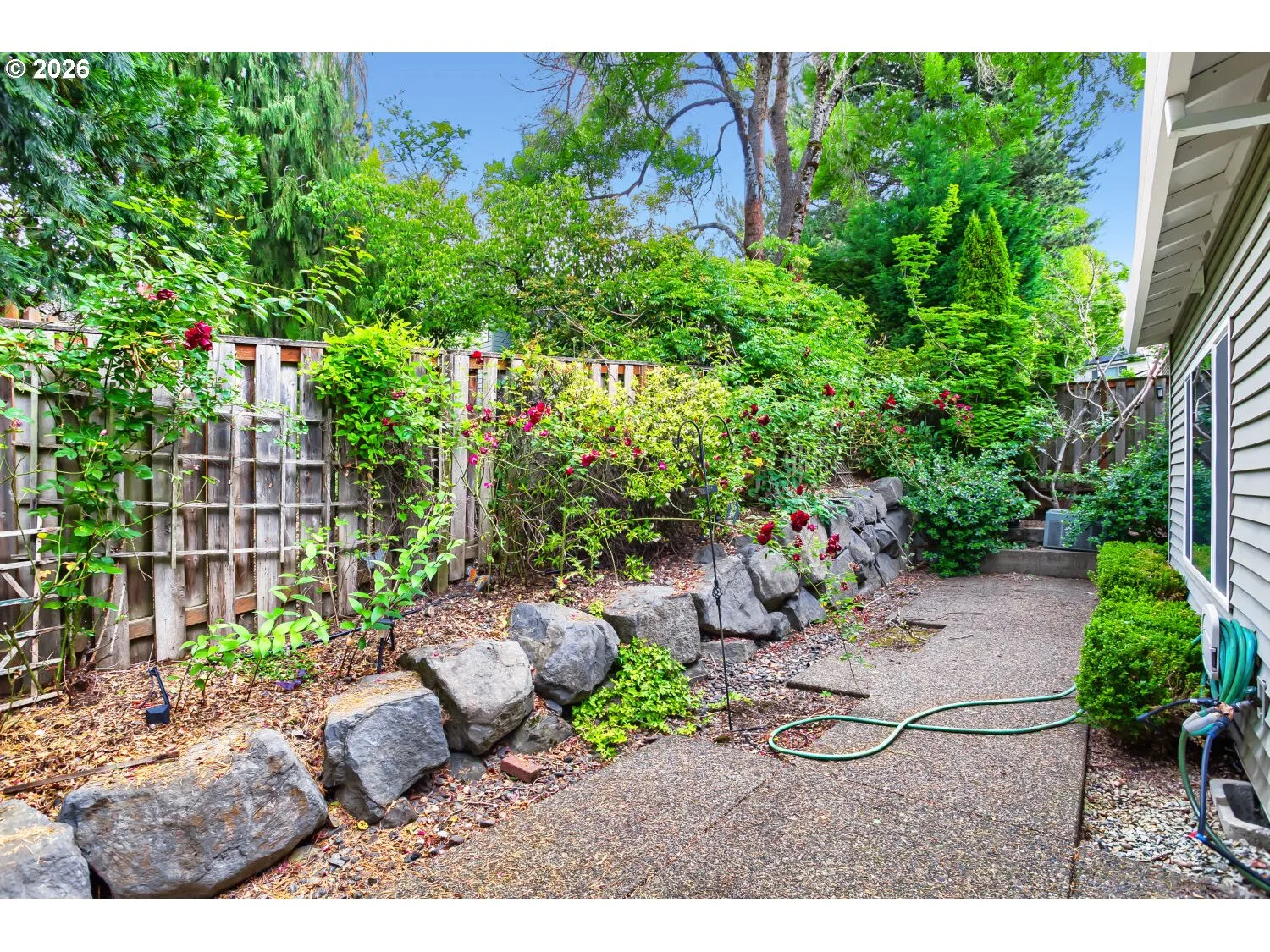 Backyard-Fenced