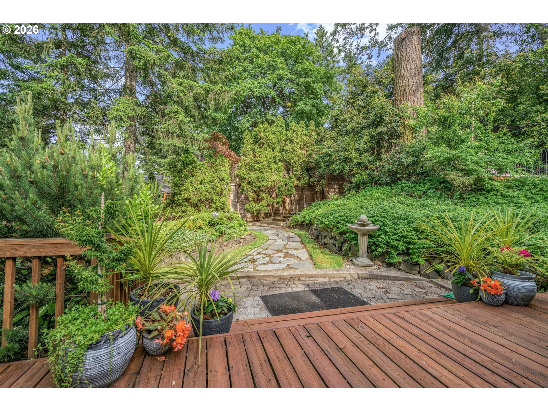 Backyard