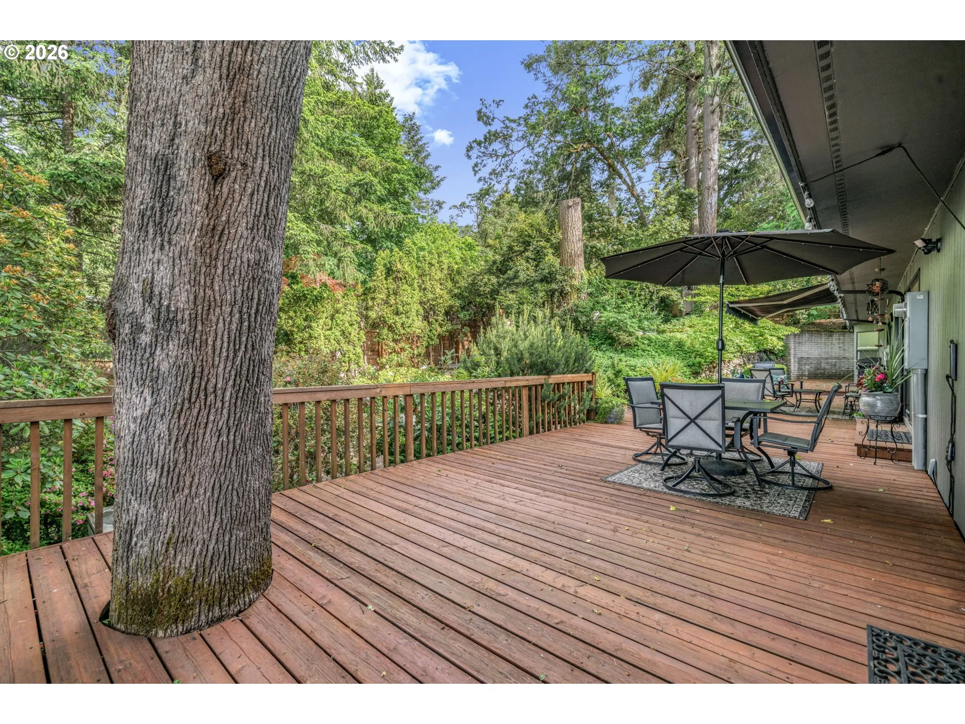 Patio-Backyard