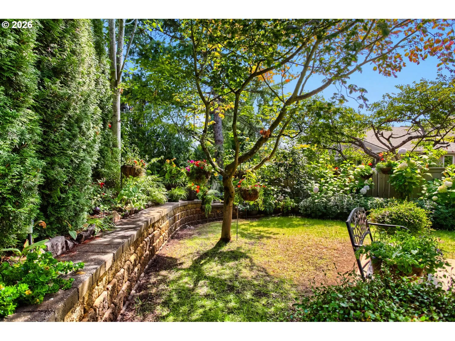 Patio-Backyard