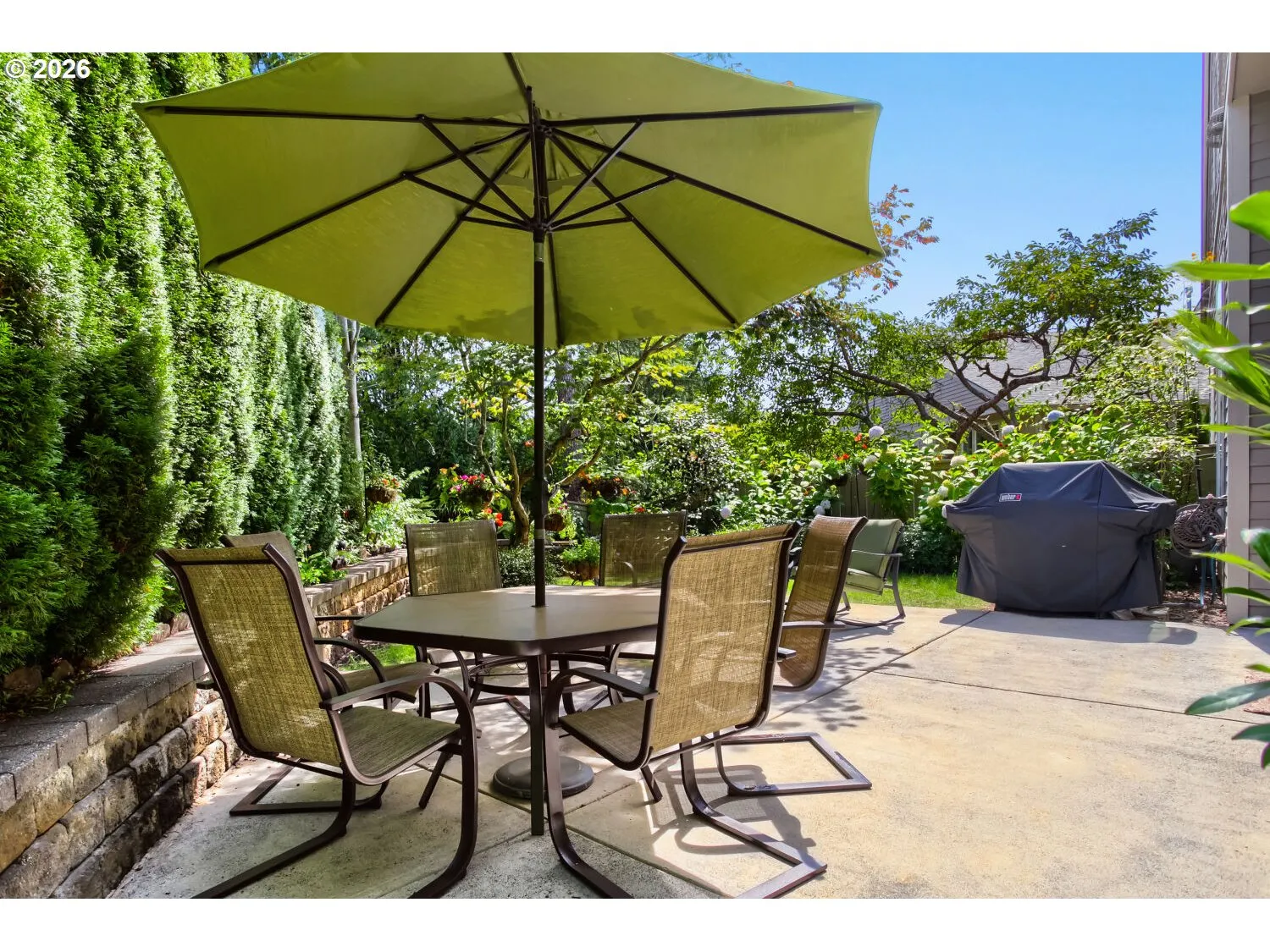 Patio-Backyard