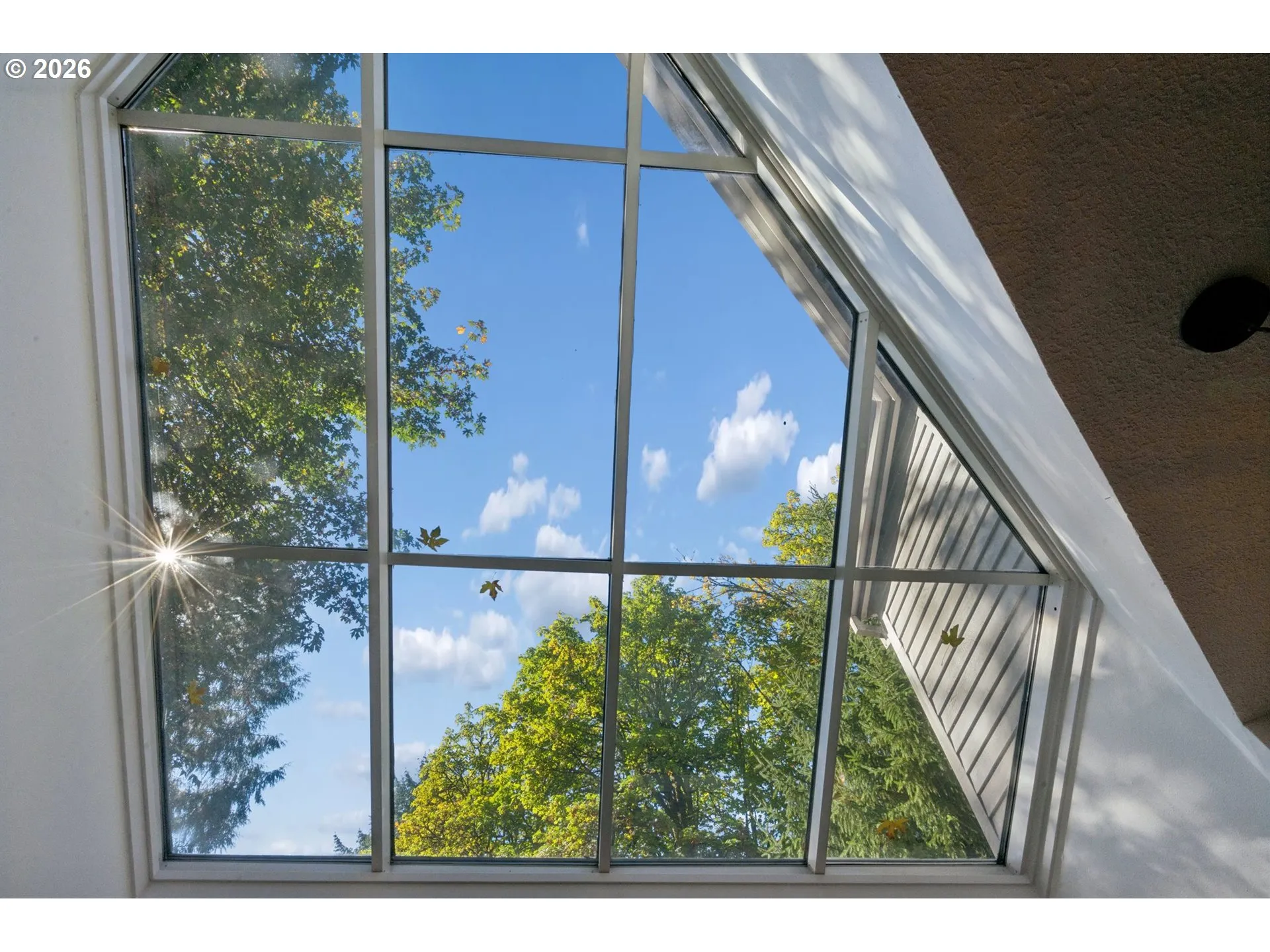 Kitchen-Skylight
