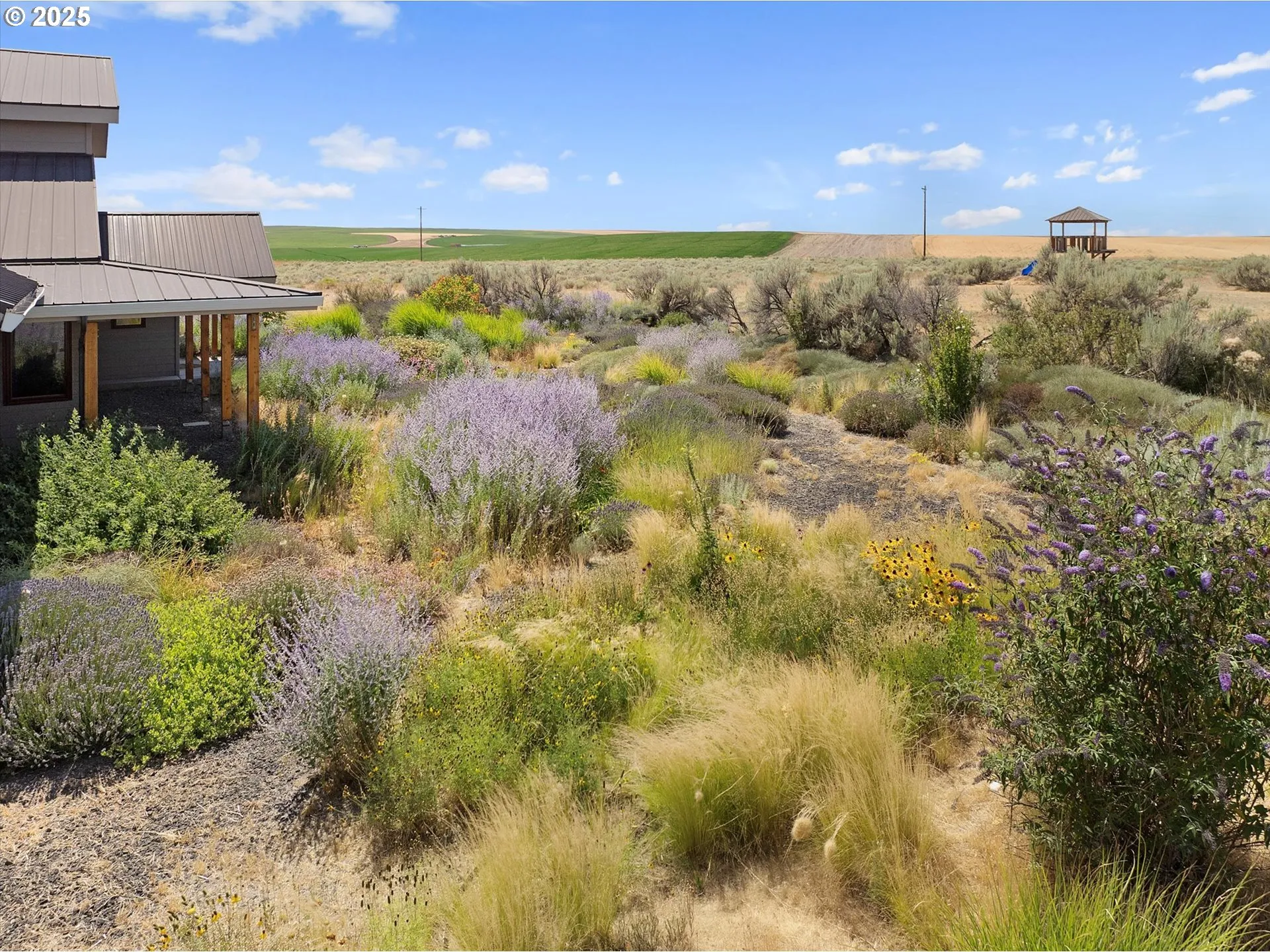 Yard-Landscaped