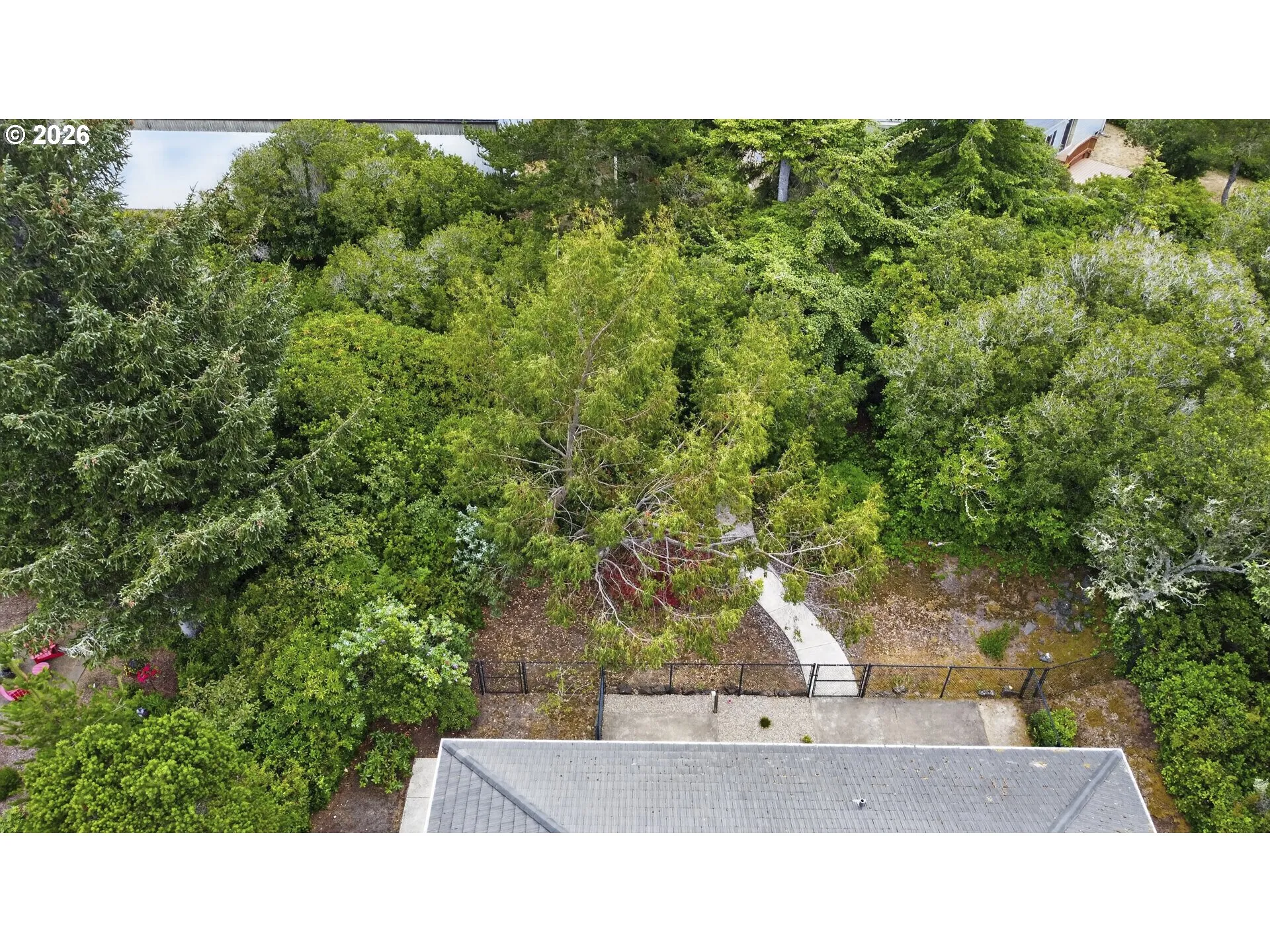 Backyard-Fenced