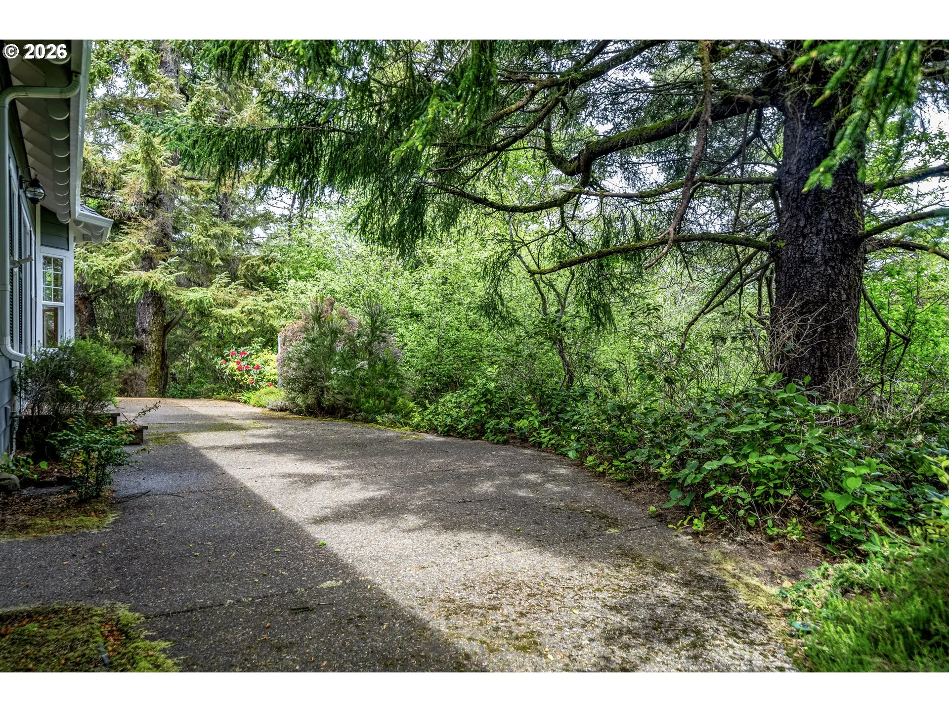 Patio-Backyard