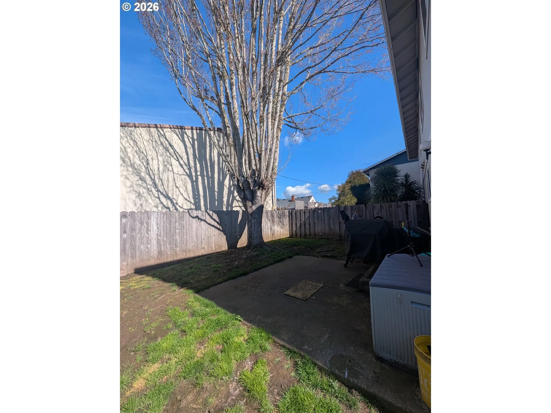 Backyard-Fenced