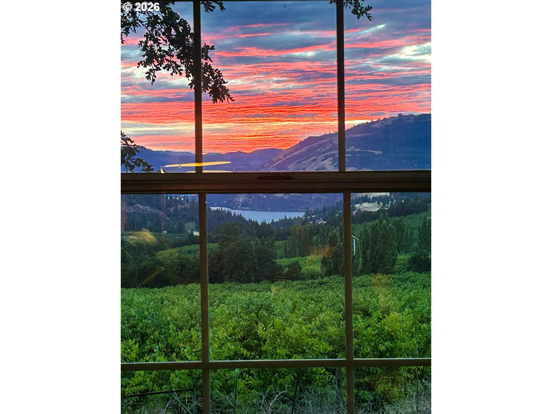 View-River