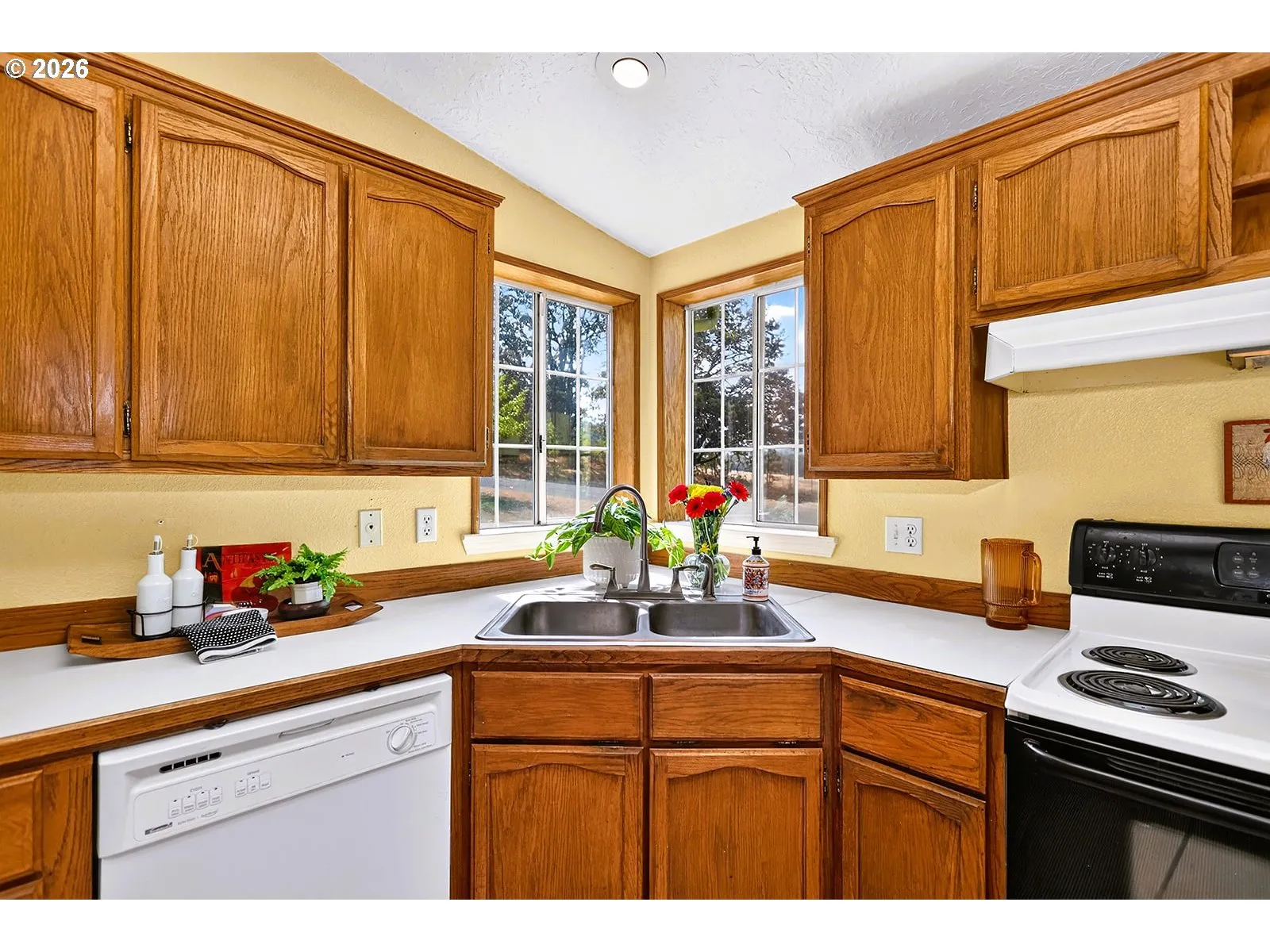 Kitchen-View From