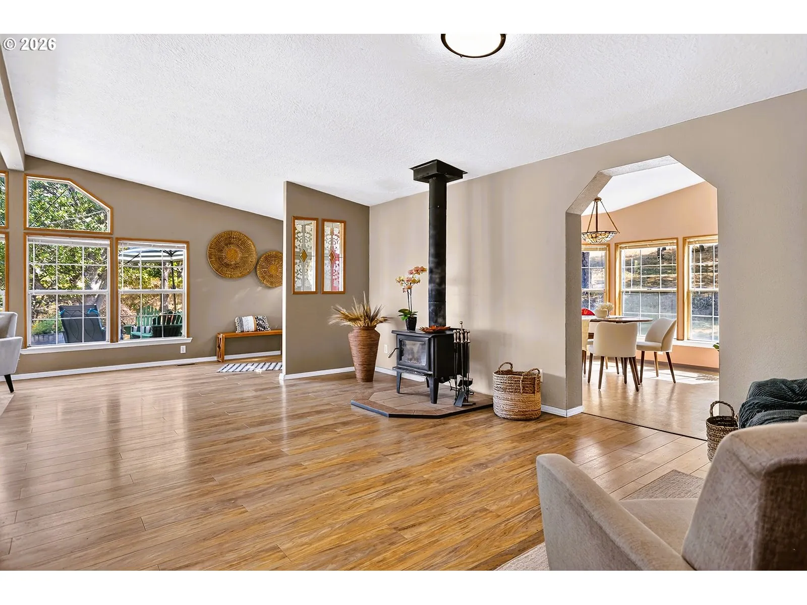 Living Room-Vaulted Ceilings