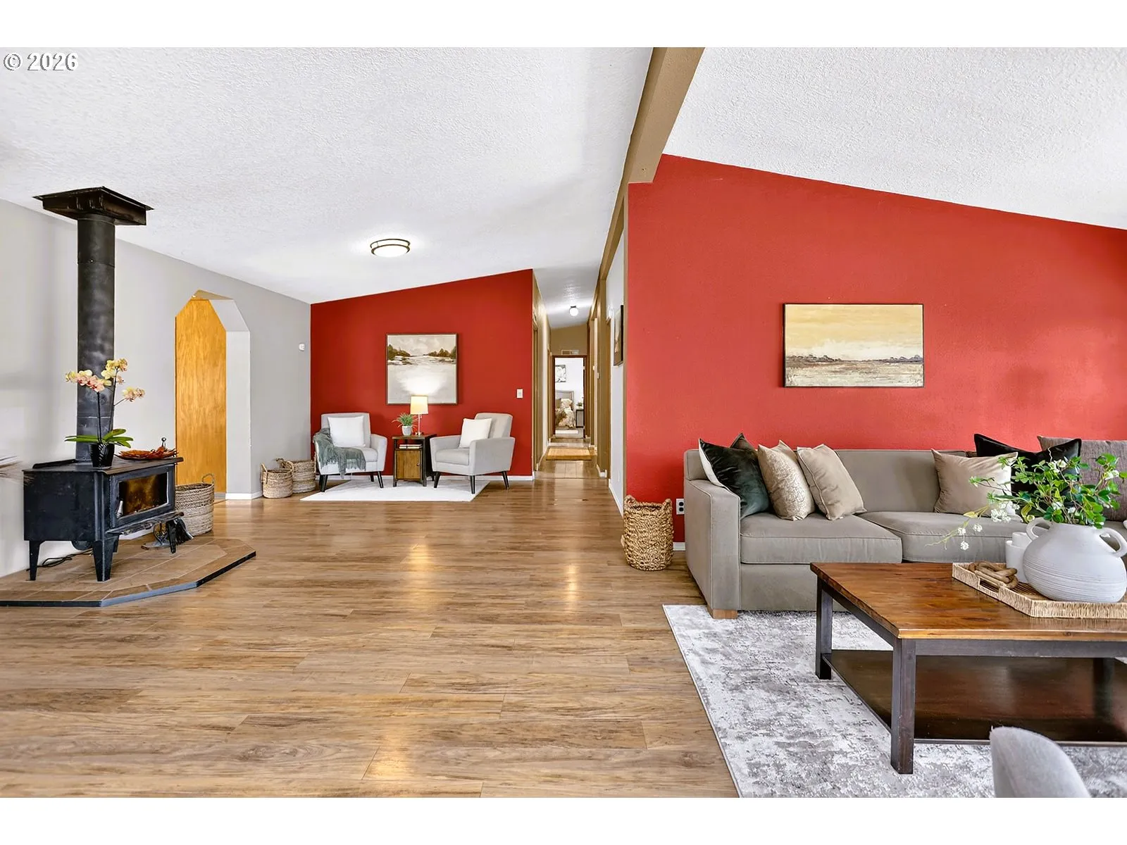 Fireplace Wood Burning Stove/Insert