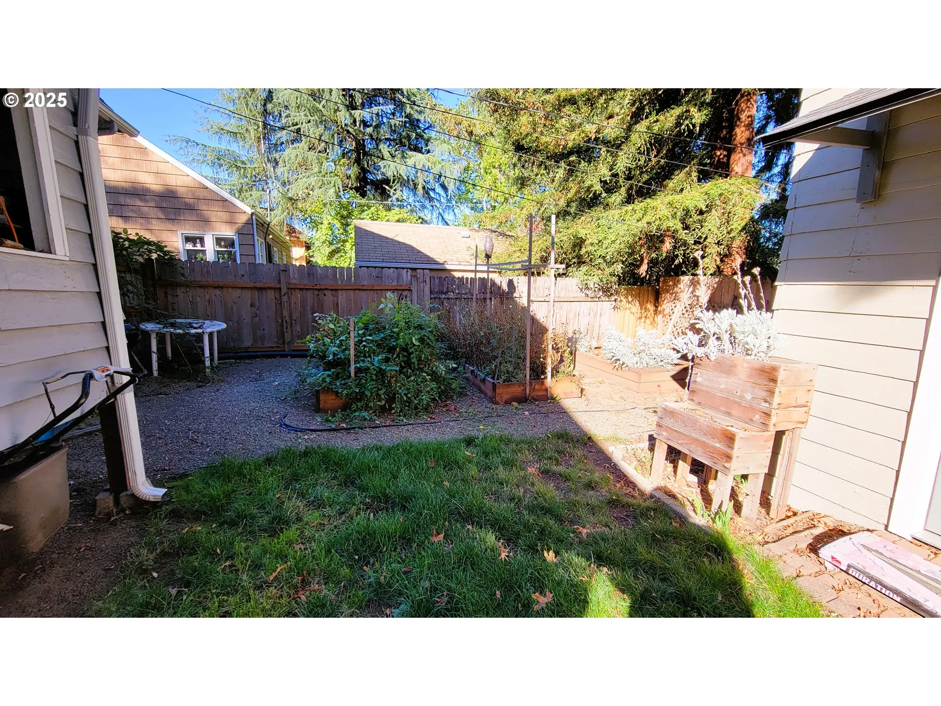 Backyard-# 1