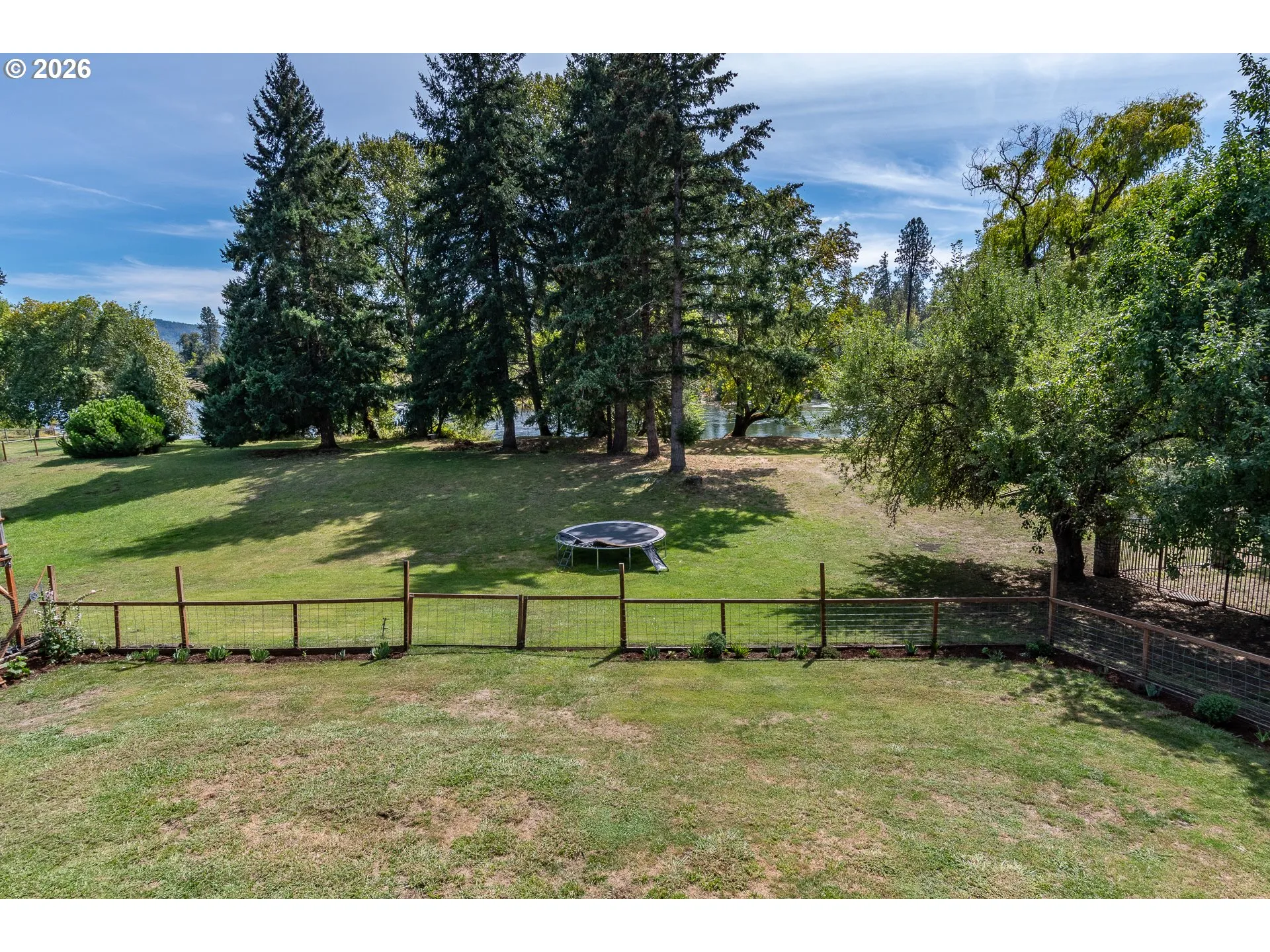 Backyard-View From