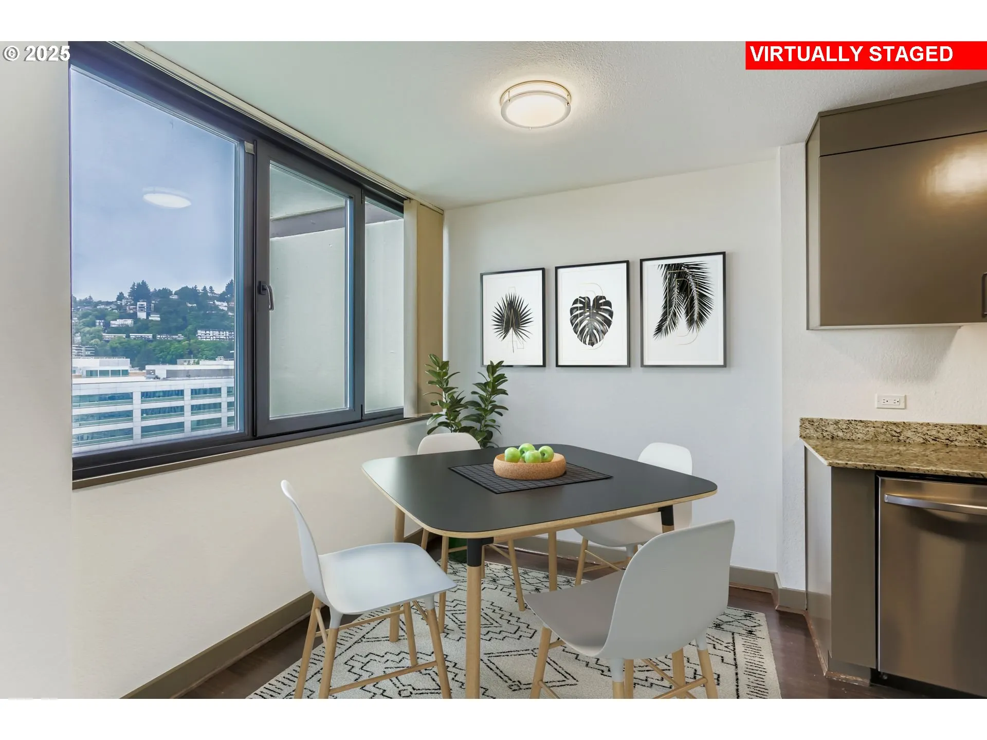 Dining Area-Wide Angle/Fisheye