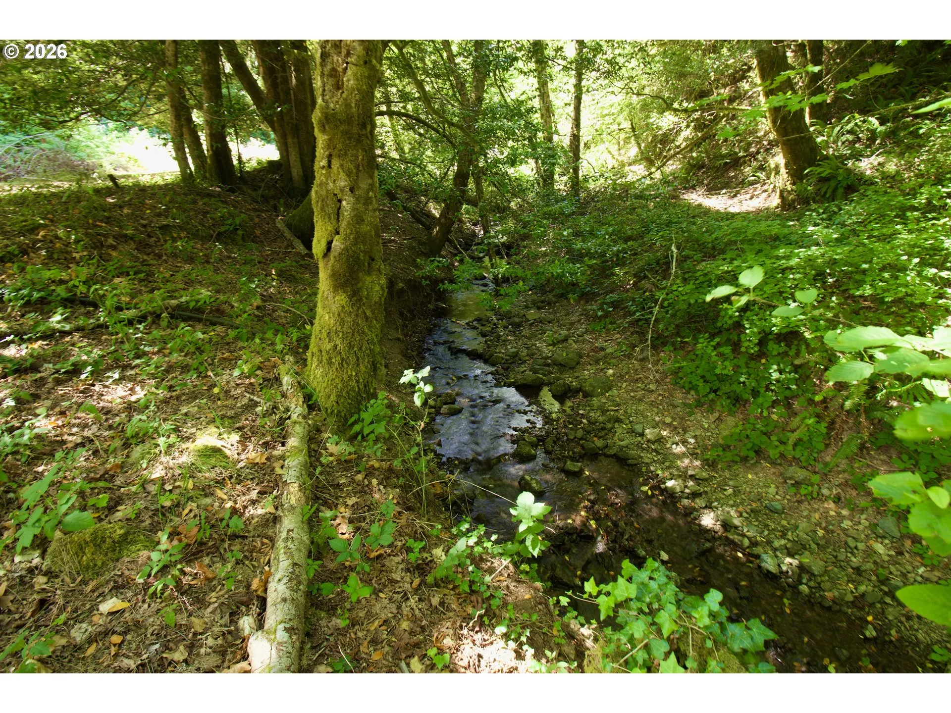 Creek