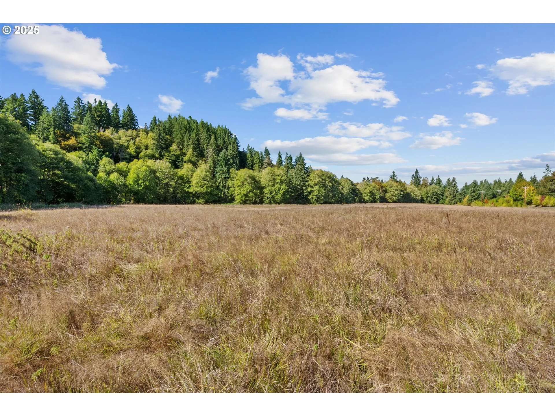 Pasture