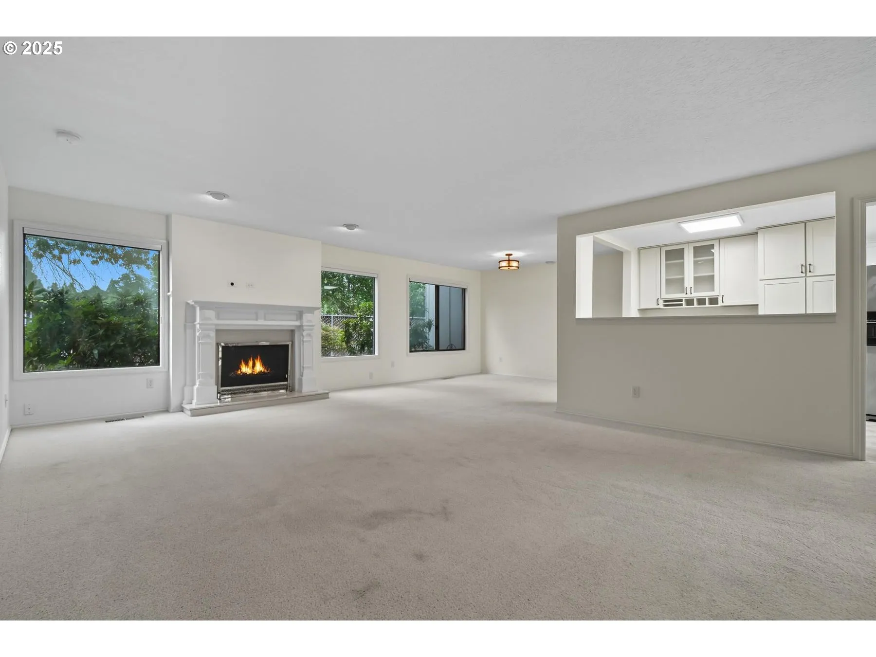 Living Room/Dining Room