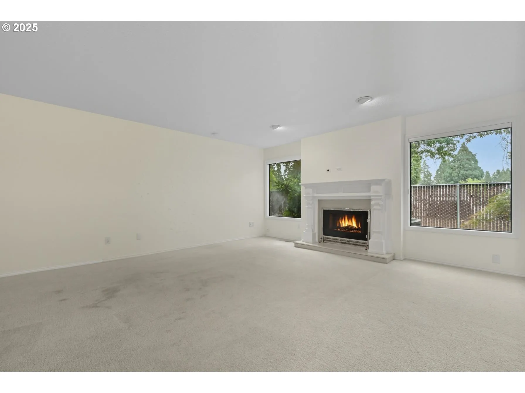 Living Room-Fireplace