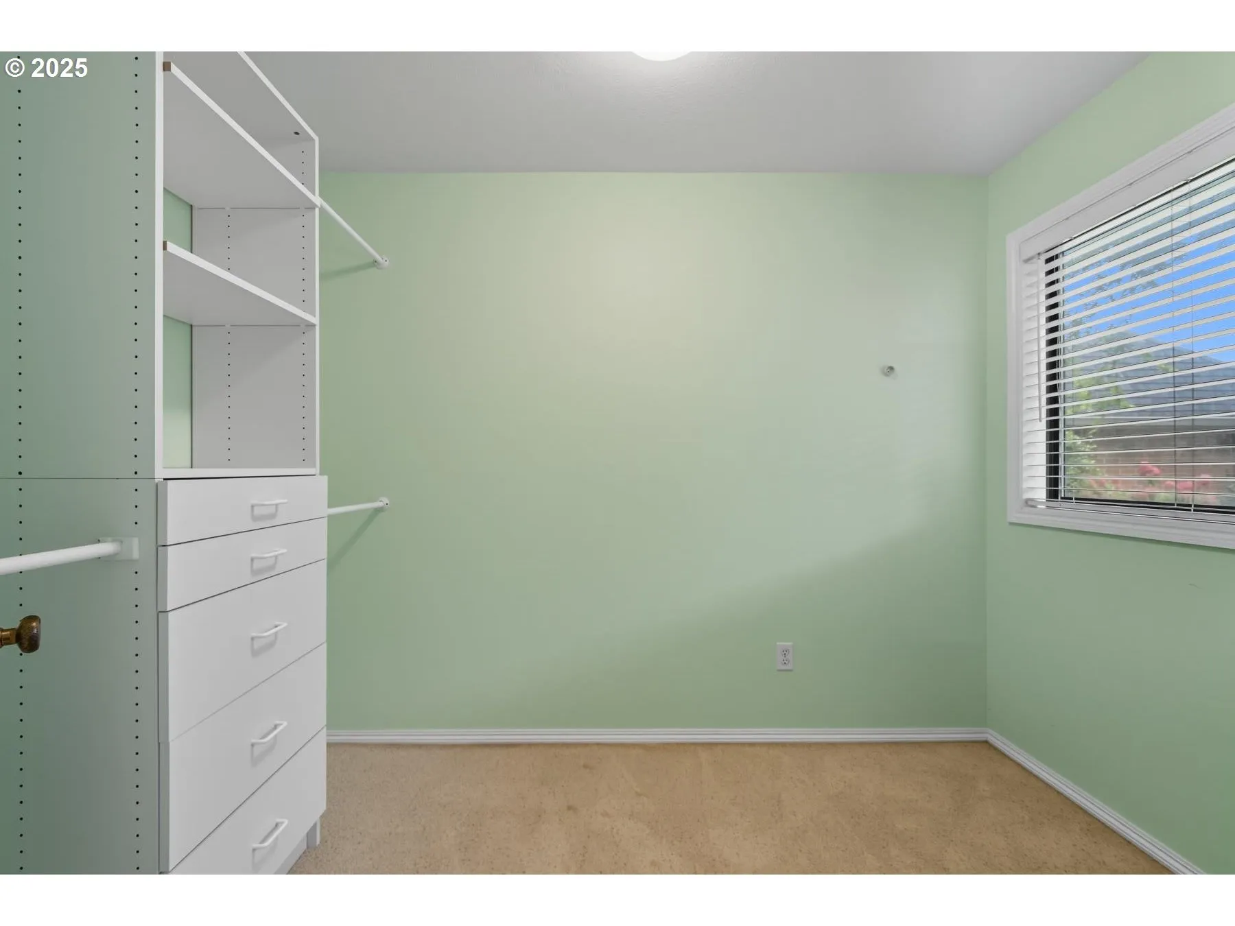 Primary Bedroom-Walk-In Closet
