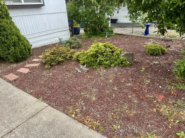 Yard-Front