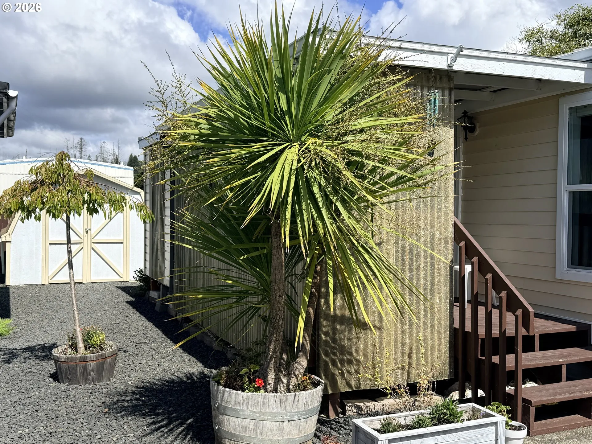 Yard