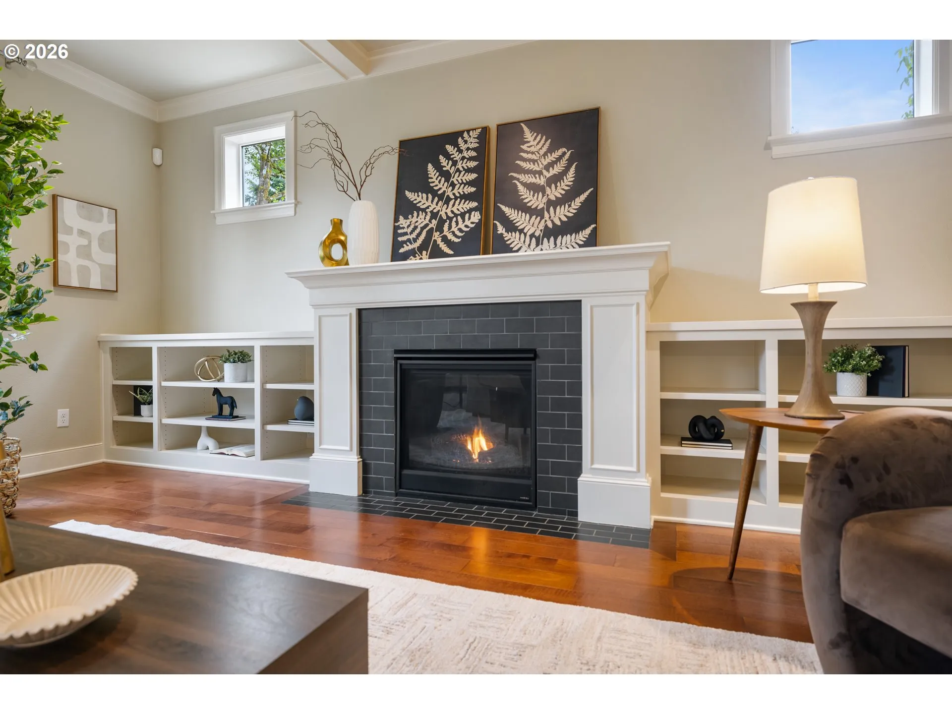 Fireplace Gas