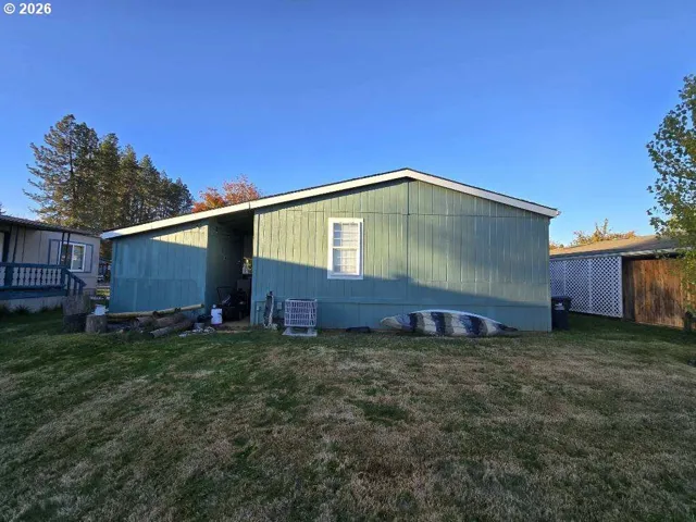 Backyard-View From
