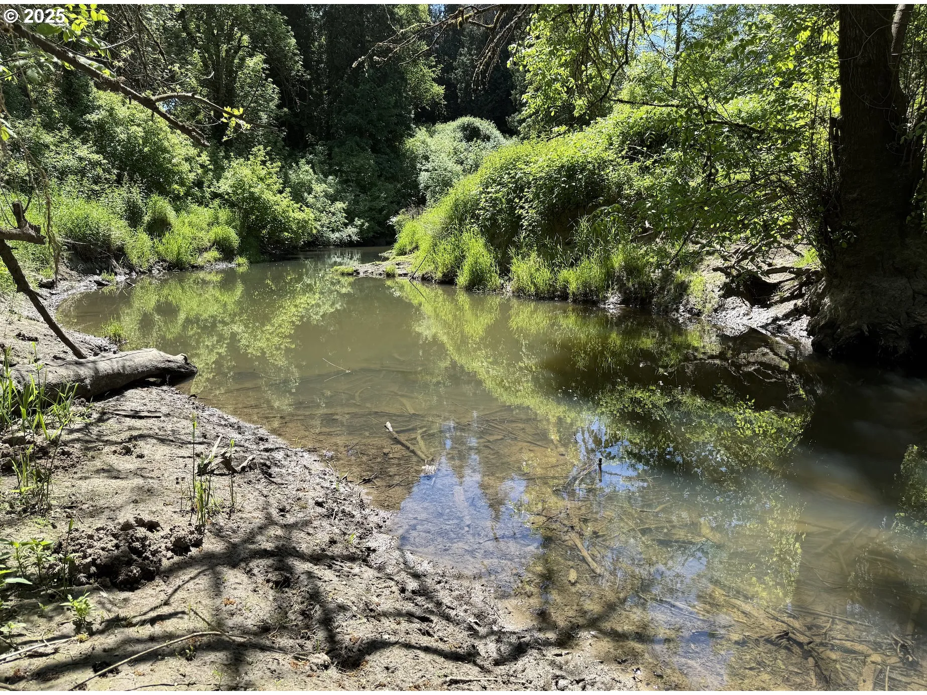 Creek-Year Round