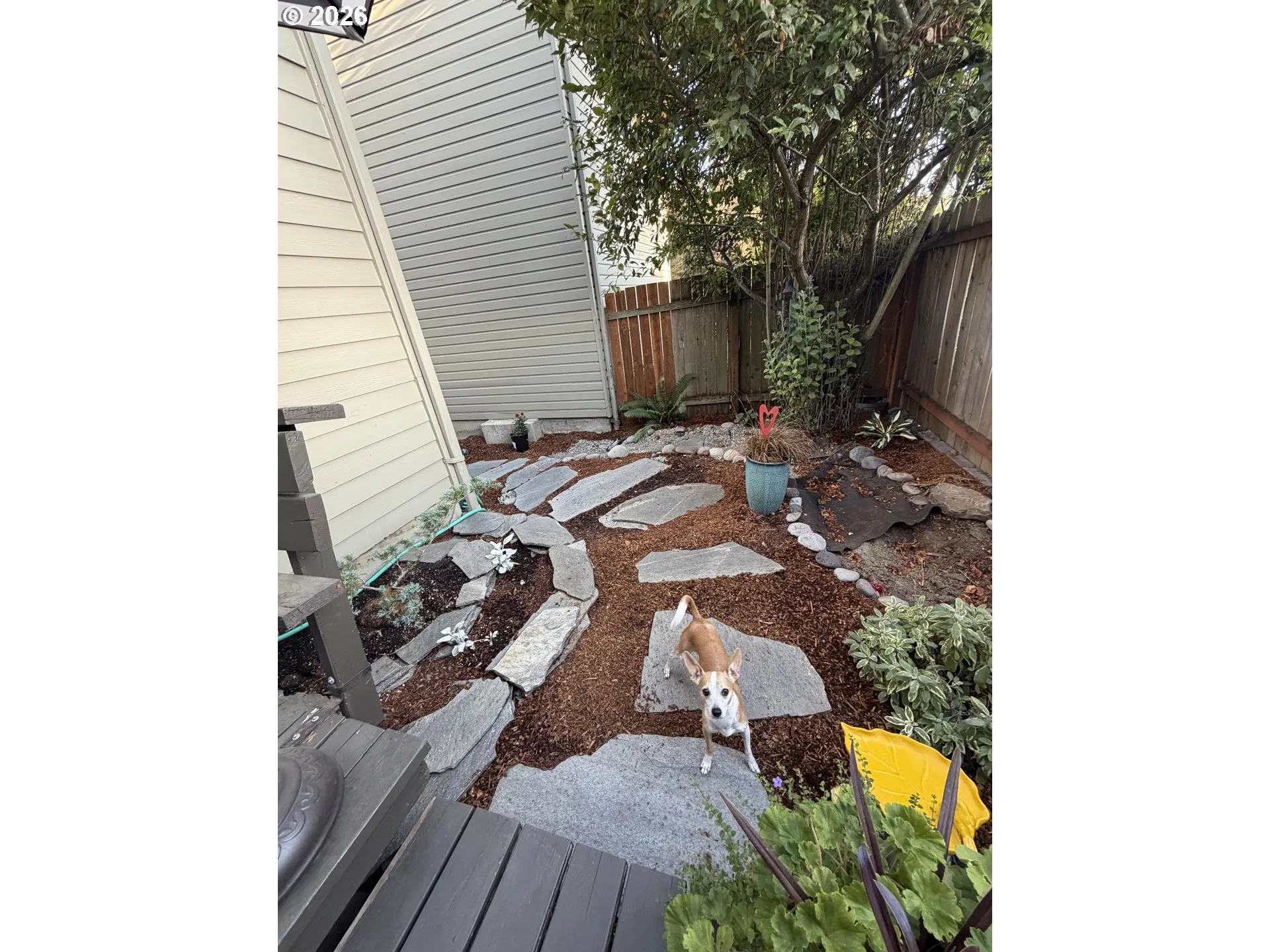 Backyard-Fenced