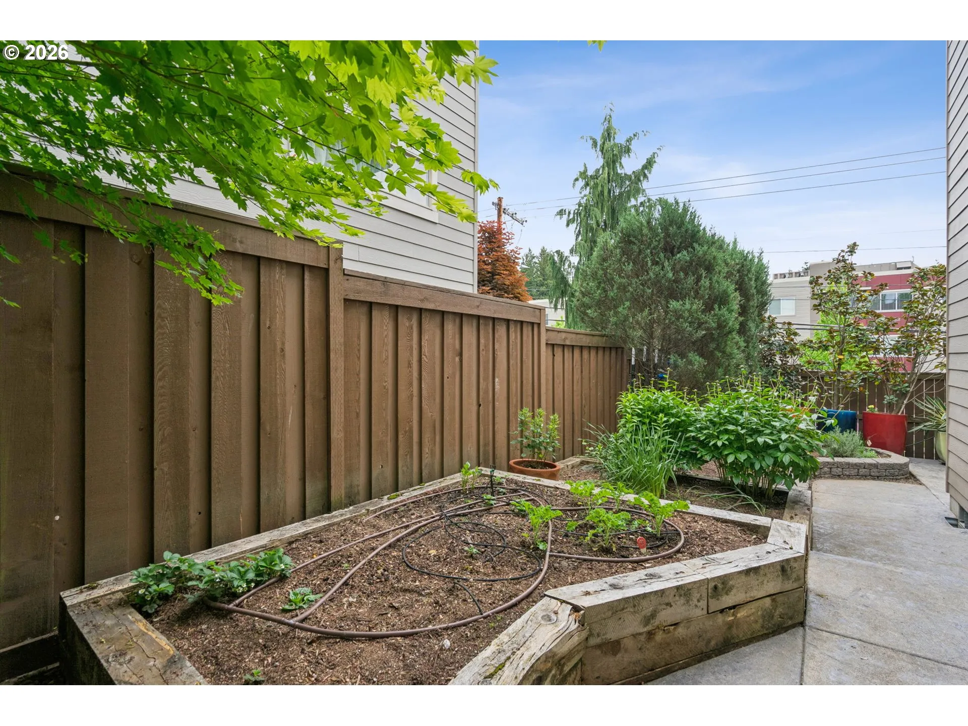 Backyard