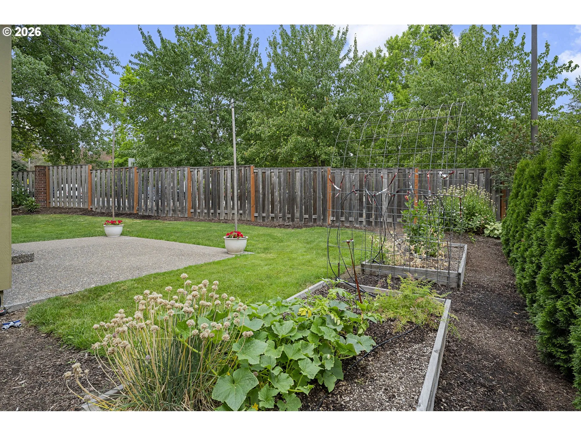 Garden