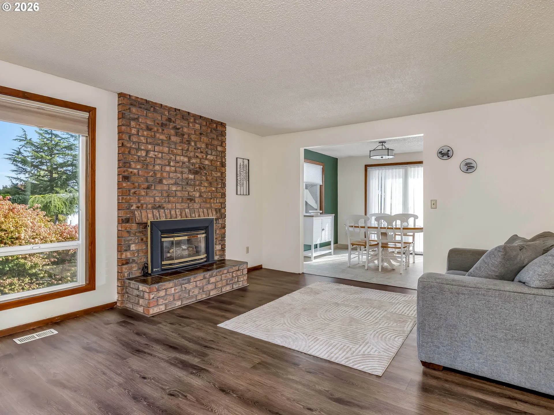 Fireplace Gas