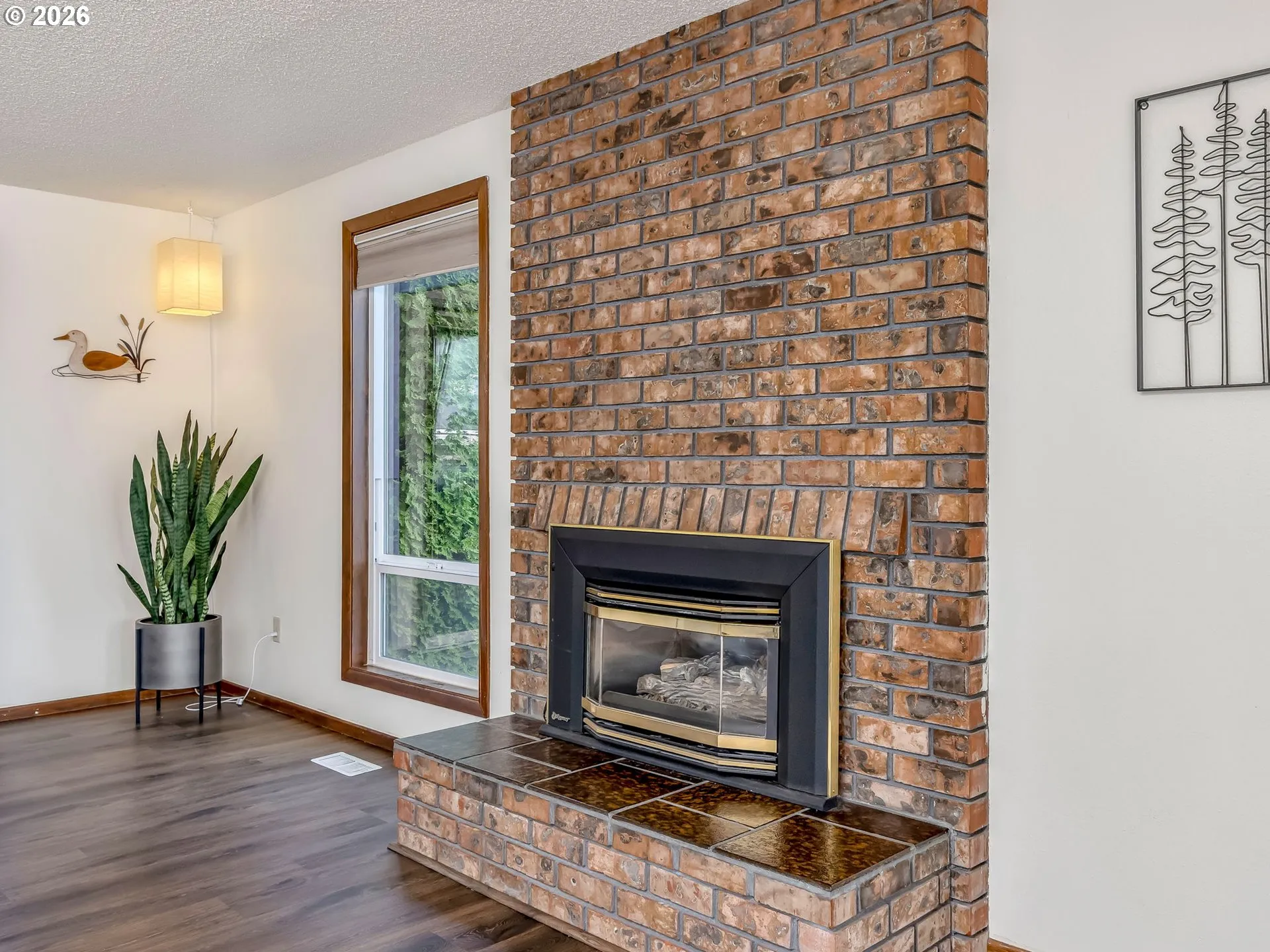 Fireplace Gas