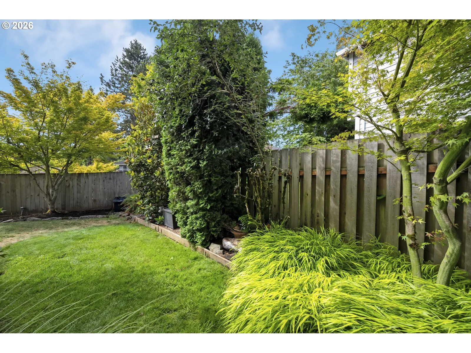 Backyard-Fenced