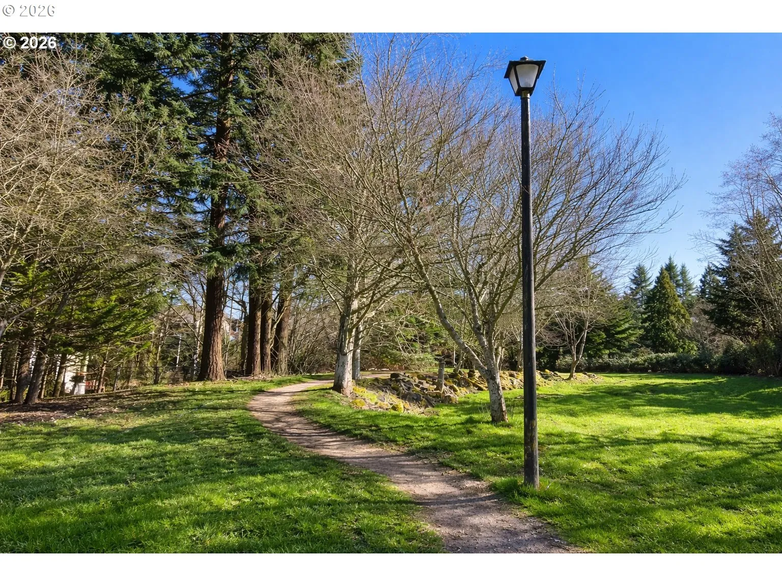 Community Park