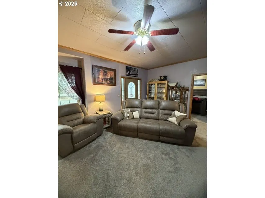 Living Room/Entrance