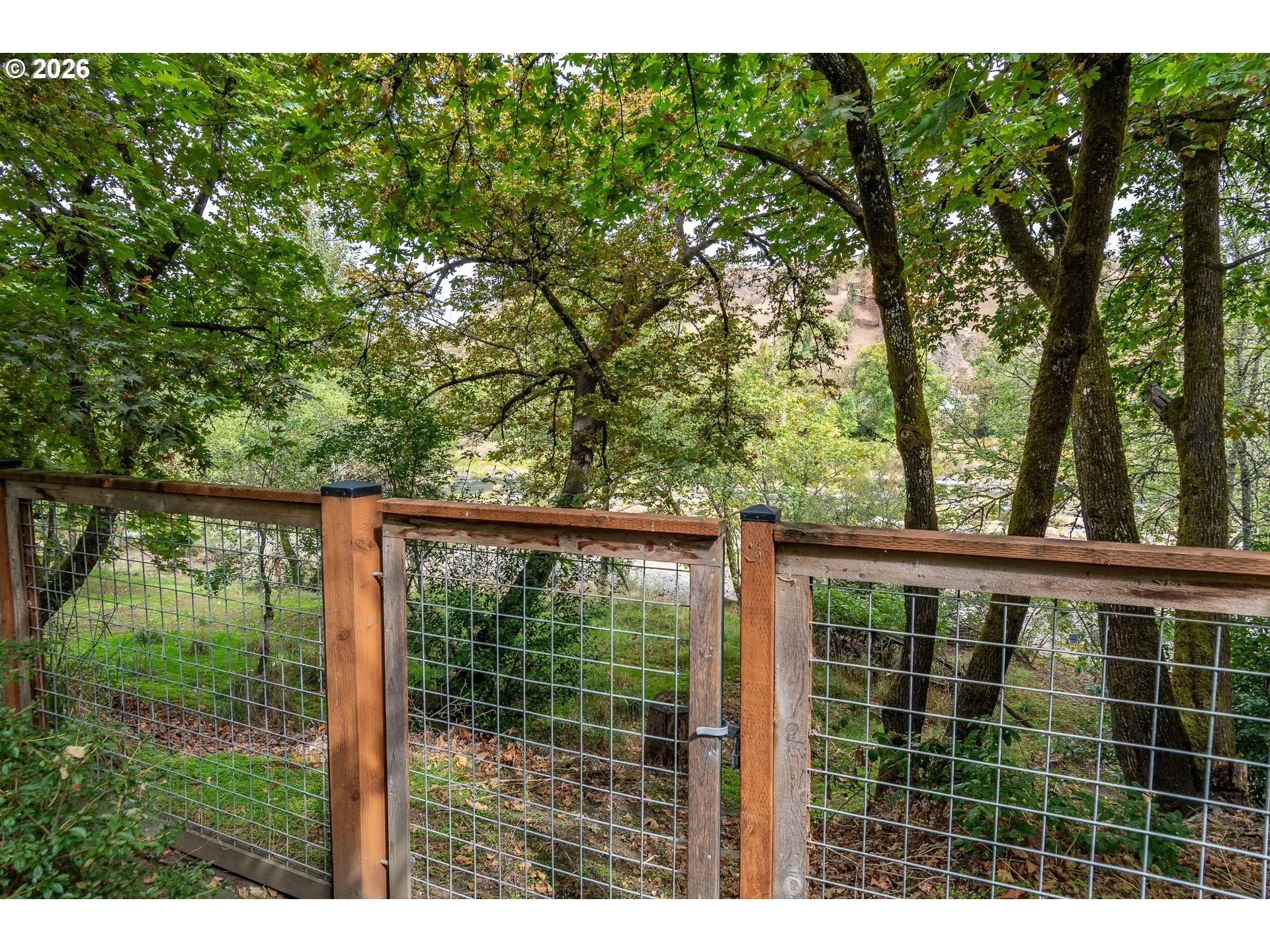 Backyard-View From
