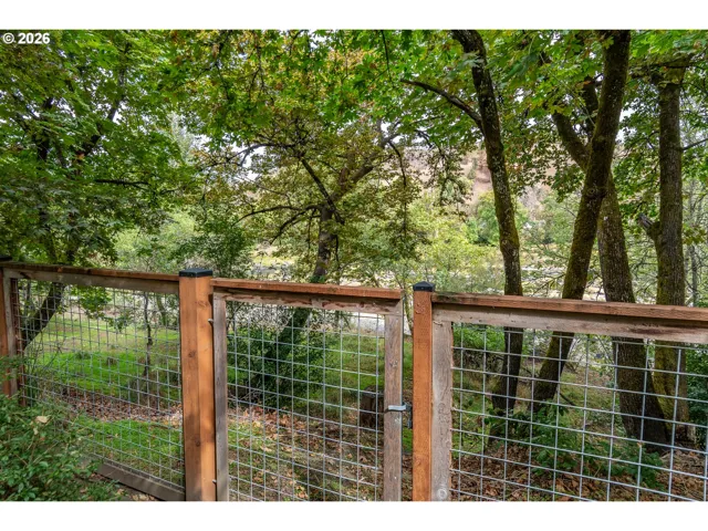 Backyard-View From