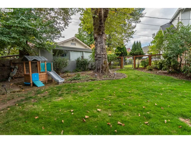 Backyard-Fenced