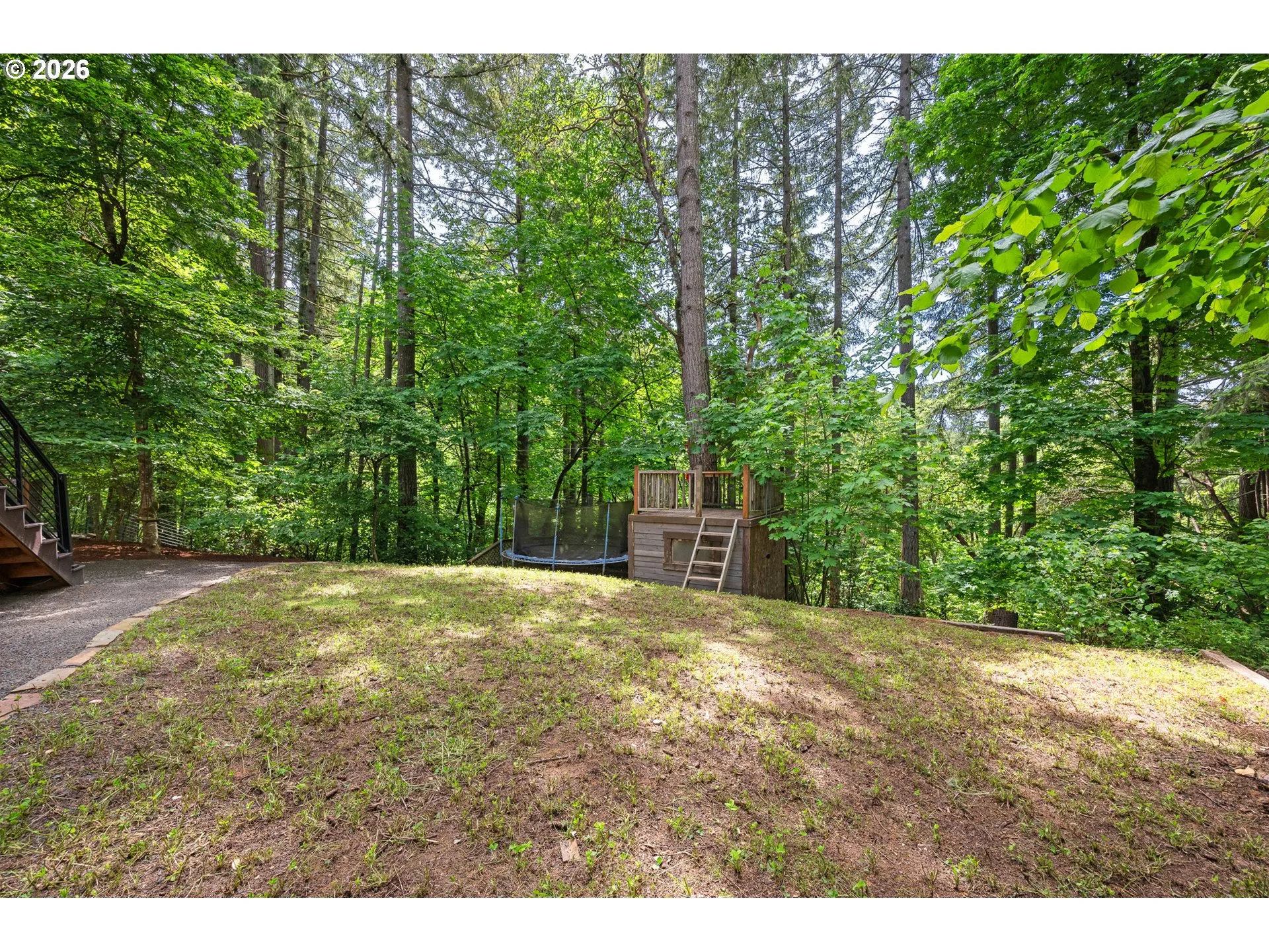 Backyard-View From