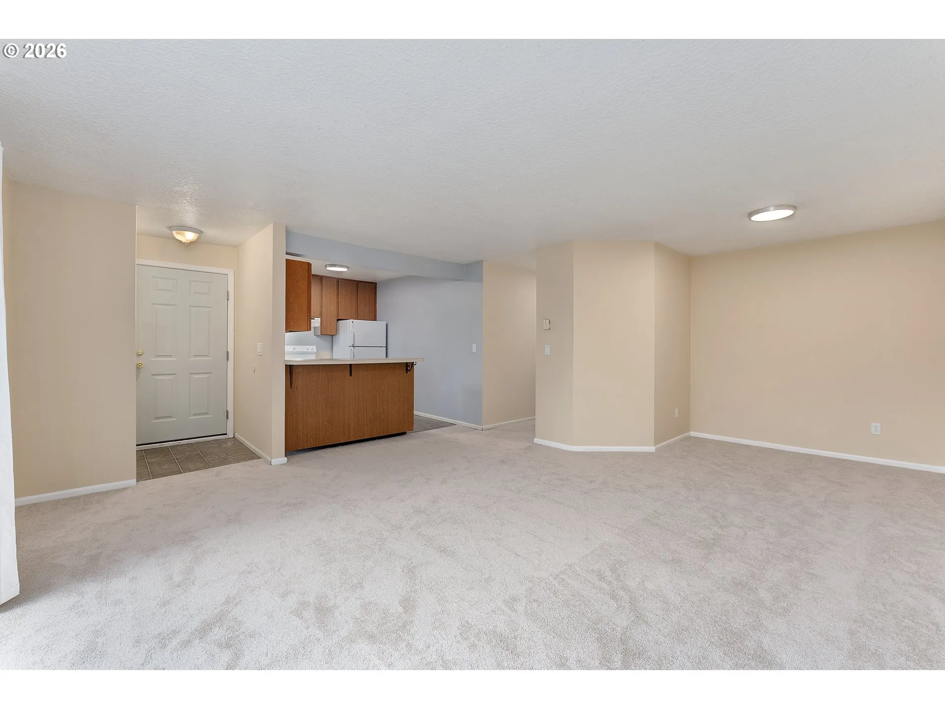 Kitchen/Living Room