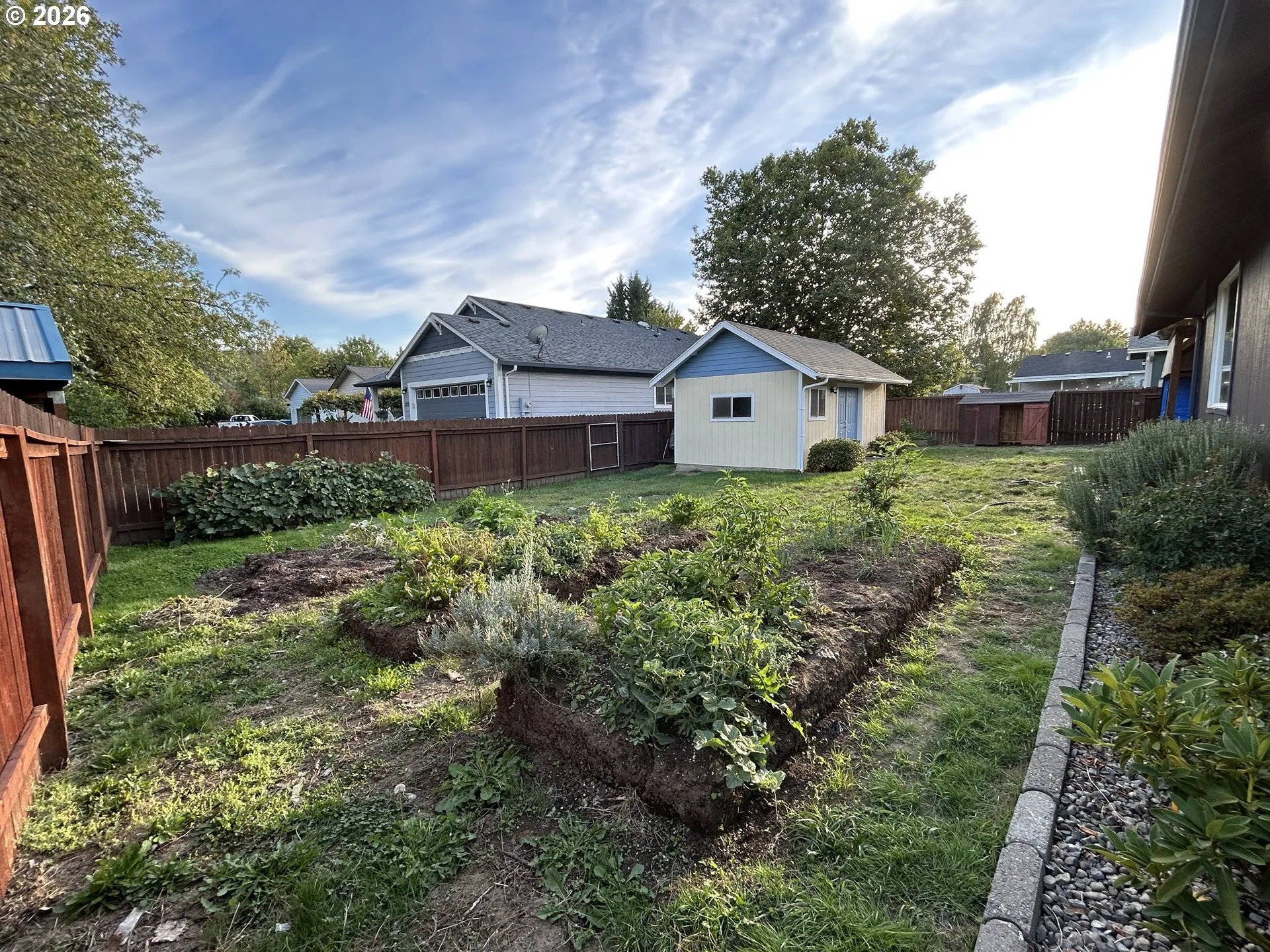 Backyard