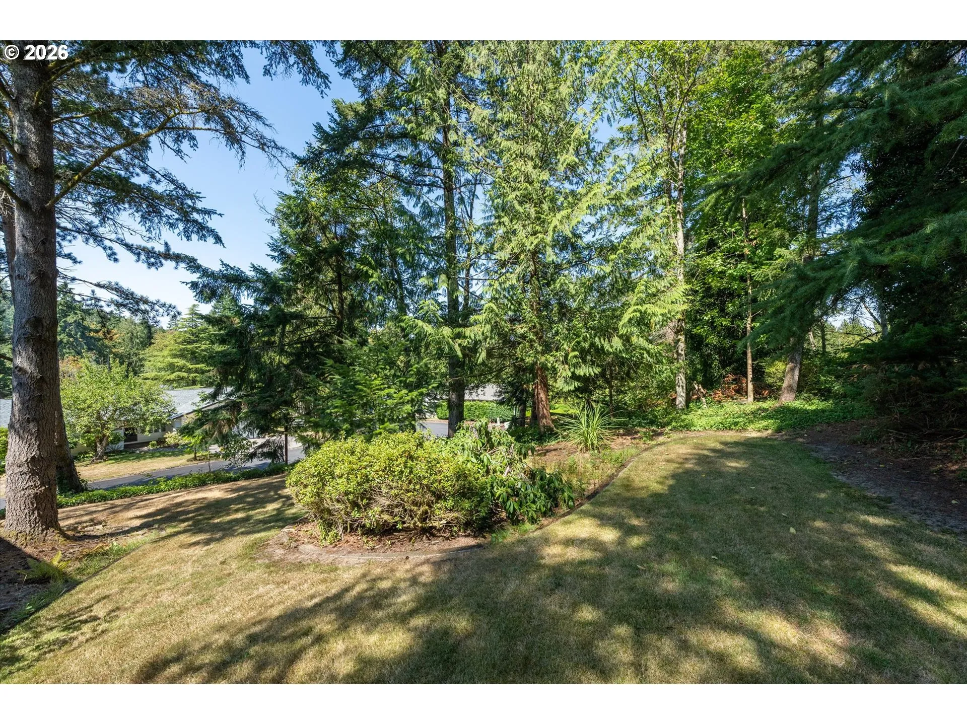 Yard-Landscaped